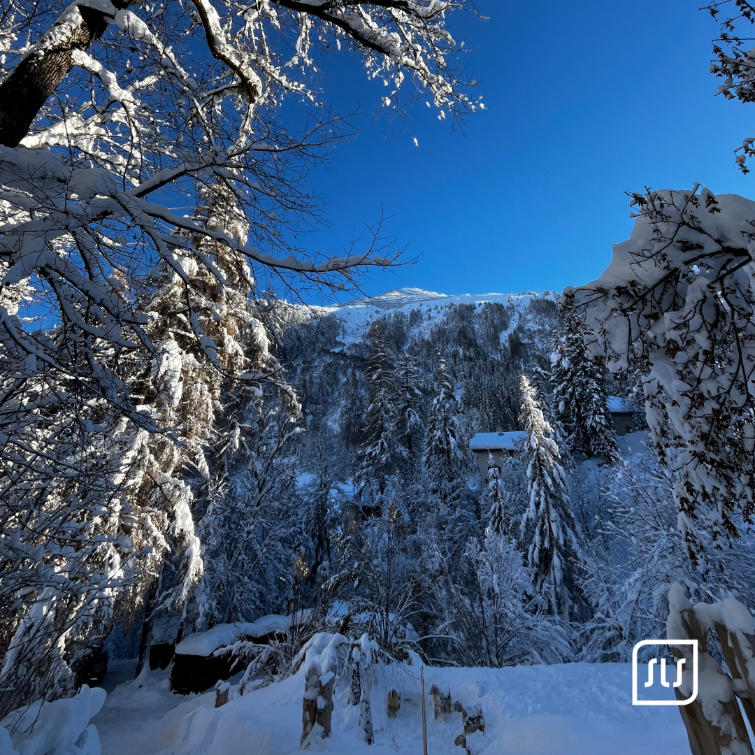 Verschneite Bäume rahmen einen bewaldeten Berghang unter klarem blauem Himmel in St. Anton am Arlberg